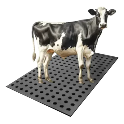 Entenda o que é um estrado de borracha institucional, suas funções e benefícios. Saiba por que ele é essencial em ambientes profissionais, como cozinhas, indústrias, hospitais e áreas úmidas.