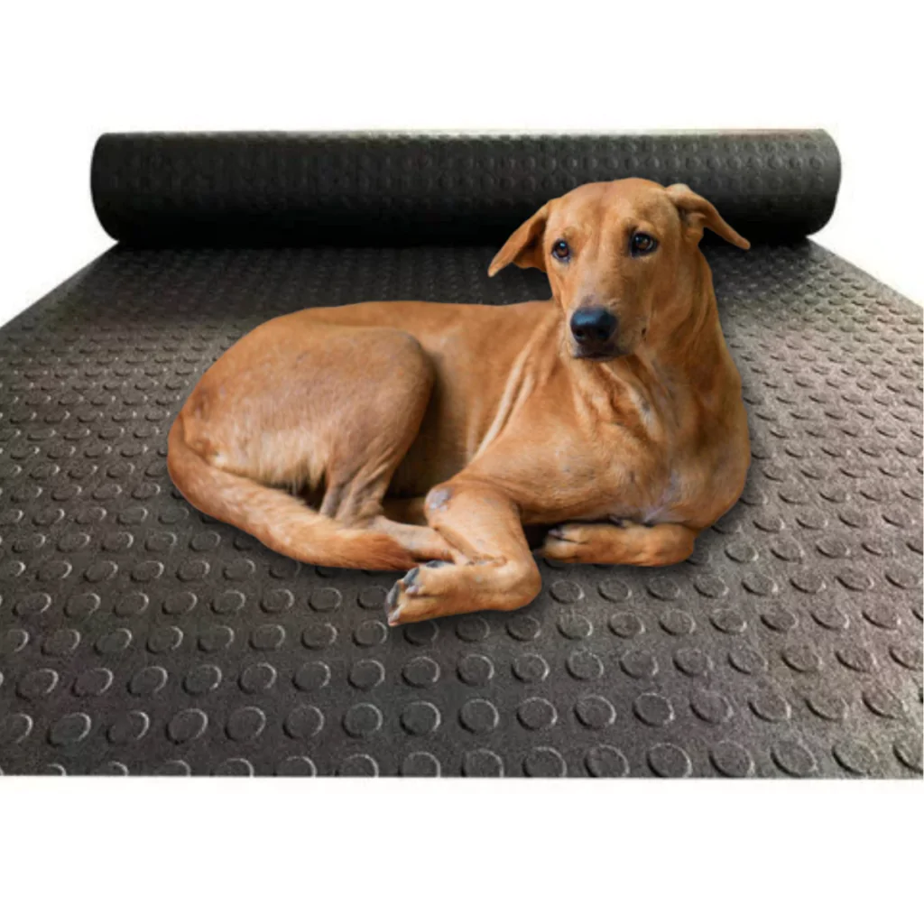 O piso para quintal com cachorro precisa unir resistência, praticidade e conforto para garantir um ambiente seguro e higiênico para o pet. 