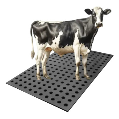 Descubra por que o estrado de borracha é essencial em cozinhas industriais e áreas molhadas. Evite acidentes, melhore a higiene e aumente a durabilidade do piso.