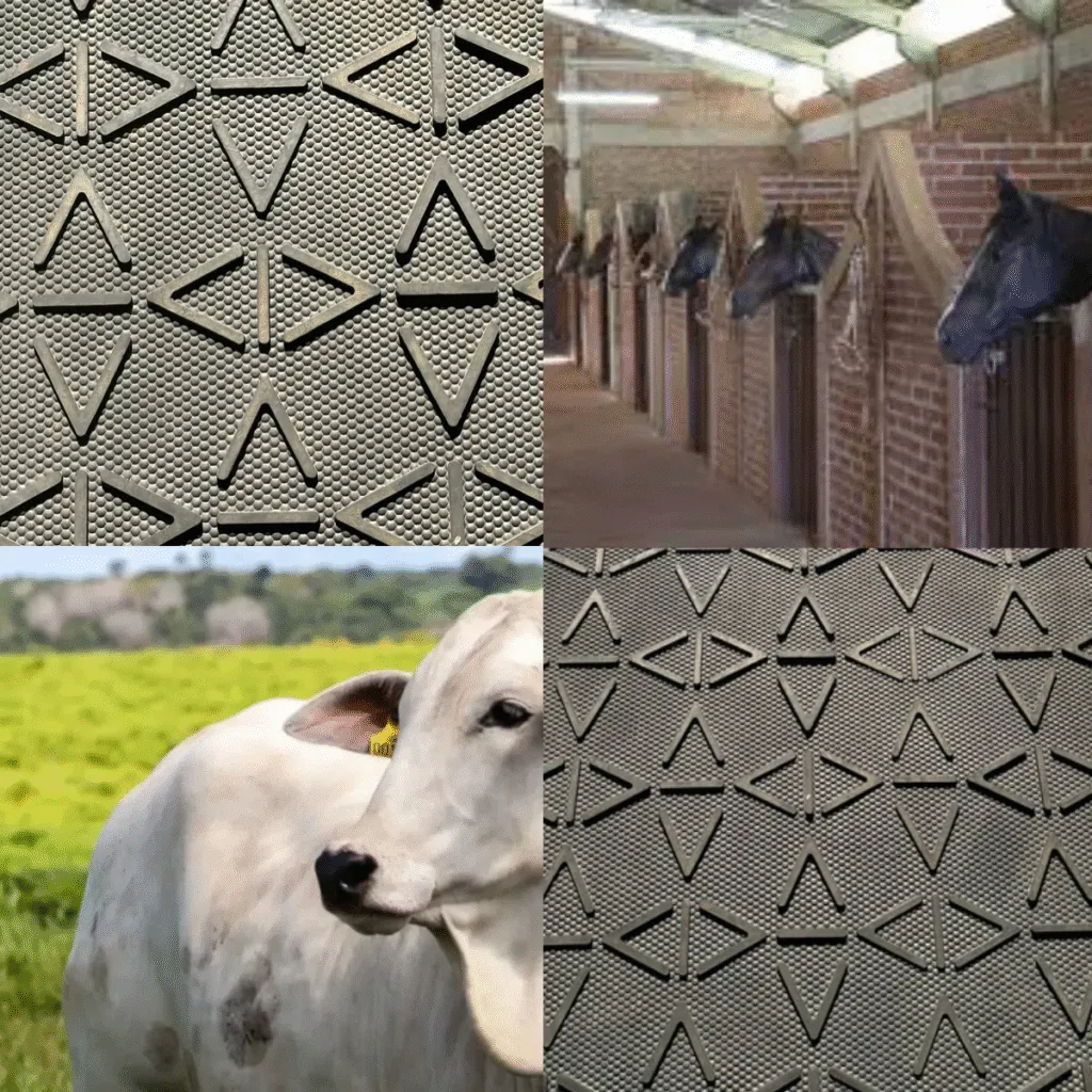 Piso Boiadeiro vs Piso de Concreto: Qual é Melhor para o Gado?