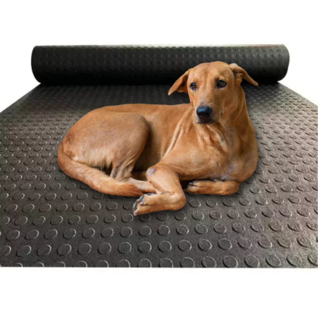 Antiderrapante para Cachorro: Conforto e Segurança em Áreas Externas